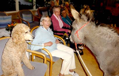 Berri setzt sich gerne zu den Senioren auf den Stuhl